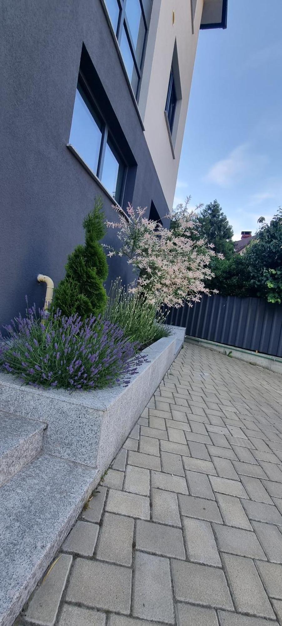 Yla Studio- Piatra Neamt Bagian luar foto